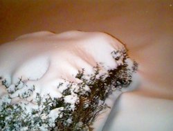 and even more snow